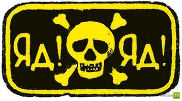 1343586938_1.webp 1343586938_1.webp