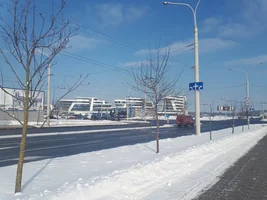 20180222_120003.webp 20180222_120003.webp