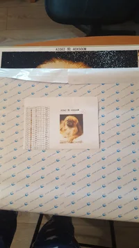 20180304_063413.webp 20180304_063413.webp