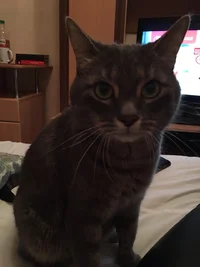 IMG_0639.webp IMG_0639.webp