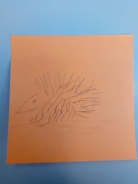 IMG_20180306_141040.webp IMG_20180306_141040.webp