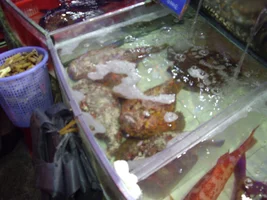 IMGP4368 - копия.webp