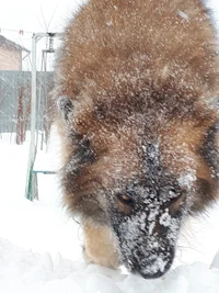 20180108_112721.webp 20180108_112721.webp