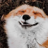 pHabFxa01Nk.webp pHabFxa01Nk.webp