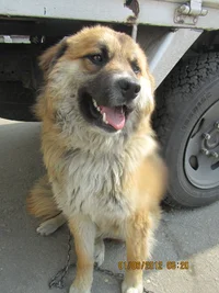 IMG_2818.webp IMG_2818.webp