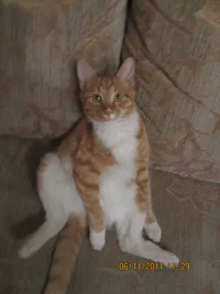 IMG_0947.webp IMG_0947.webp