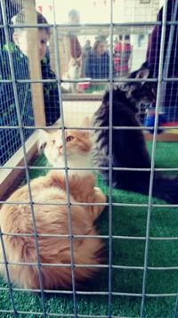 20180401_134923_Film1.webp 20180401_134923_Film1.webp