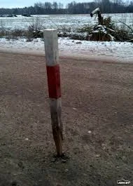 Без названия (2).webp