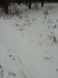 20180412_074621.webp 20180412_074621.webp