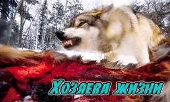 Хозяева жизни группа.webp