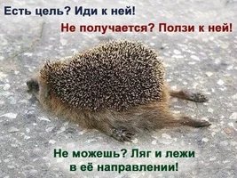 аватар для никотина.webp