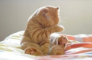 10b211dfb7d2d36442d93f3140f70567.webp 10b211dfb7d2d36442d93f3140f70567.webp