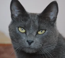 DSC_0085 (2).webp DSC_0085 (2).webp