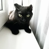 2018-04-20 09.32.38 1.webp