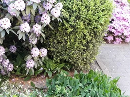 20180509_085605.webp 20180509_085605.webp