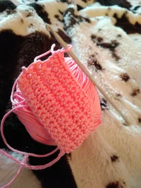 IMG_20180513_195604.webp IMG_20180513_195604.webp