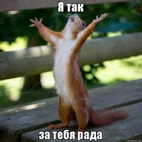 g8yk4o.webp g8yk4o.webp