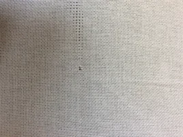 C9B55F1D-BB3A-4CE4-8D52-E494B1086775.webp C9B55F1D-BB3A-4CE4-8D52-E494B1086775.webp