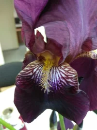 IMG_20180529_103607.webp IMG_20180529_103607.webp