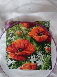 IMG_20180531_072244.webp IMG_20180531_072244.webp