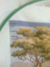 Фото0961.webp Фото0961.webp