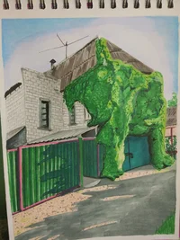 IMG_20180605_060046.webp IMG_20180605_060046.webp