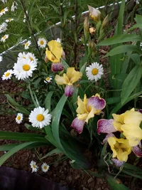 IMG_20180617_185805.webp IMG_20180617_185805.webp