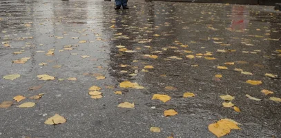 Скриншот 02-07-2018 020658.webp