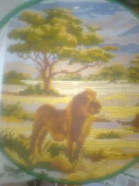 Фото1019.webp Фото1019.webp