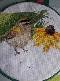 20180619_084921.webp 20180619_084921.webp