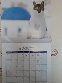 20180719_091830.webp 20180719_091830.webp