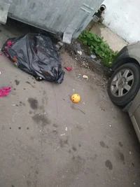 index.webp index.webp