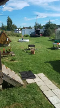 IMG-20180810-WA0005.webp IMG-20180810-WA0005.webp