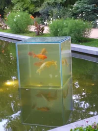 ботсад (1).webp