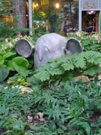 ботсад (4).webp