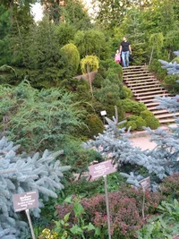 ботсад (2).webp