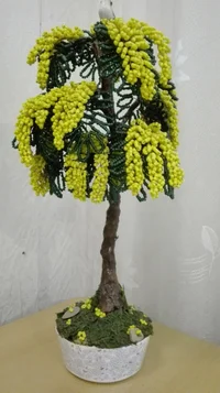 IMG_20180818_172857.webp IMG_20180818_172857.webp