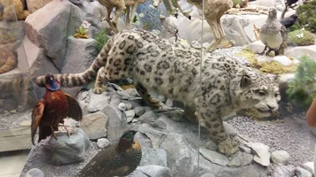 20180819_134538.webp