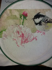 20180813_122755.webp 20180813_122755.webp