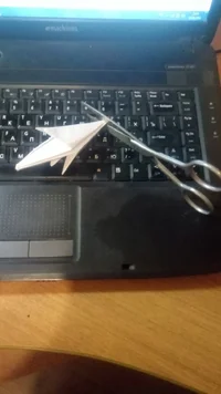 P80828-234744.webp P80828-234744.webp