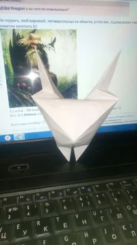 P80828-234948.webp P80828-234948.webp