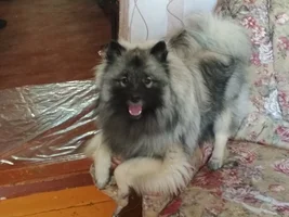 IMG_20180621_140622.webp IMG_20180621_140622.webp