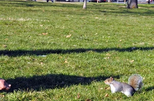 94378E9C-C5D0-4925-A076-5787E0DFE238.webp 94378E9C-C5D0-4925-A076-5787E0DFE238.webp