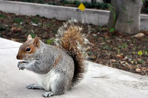 05CE7949-1B4C-49EC-9ECC-BC192724FBD5.webp 05CE7949-1B4C-49EC-9ECC-BC192724FBD5.webp