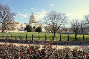 9CB3EC01-DDD1-41E2-9408-23EDCE0F3E32.webp 9CB3EC01-DDD1-41E2-9408-23EDCE0F3E32.webp