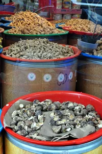 C4A2176E-72A9-4D77-83A1-3DE792F4CFDB.webp C4A2176E-72A9-4D77-83A1-3DE792F4CFDB.webp