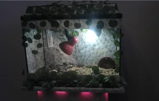 Скриншот 08-09-2018 154315.webp