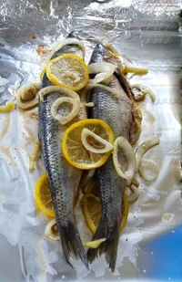 20180908_140154.webp 20180908_140154.webp