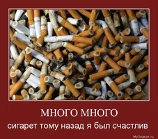222liv.webp 222liv.webp