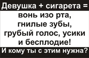 333t1.webp 333t1.webp